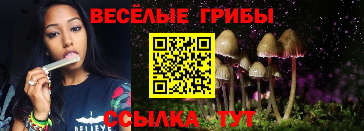 Псилоцибиновые грибы прущие грибы Домодедово